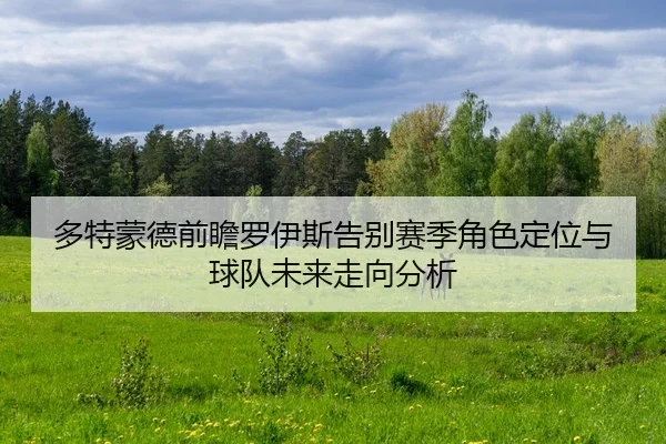 多特蒙德前瞻罗伊斯告别赛季角色定位与球队未来走向分析