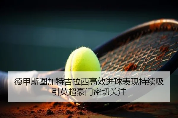 德甲斯图加特吉拉西高效进球表现持续吸引英超豪门密切关注